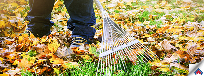 6 Easy Landscaping Projects to get your Lawn Fall Ready