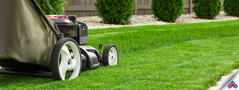 Four-Ways-To-Keep-Your-Lawn-Healthy-This-Summer