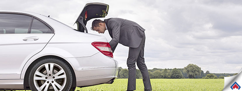items every real estate agent should keep in their trunk