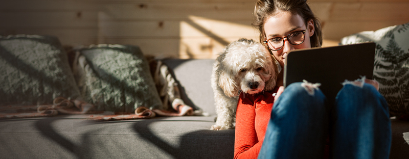 woman with dog researching mortgage interest rates