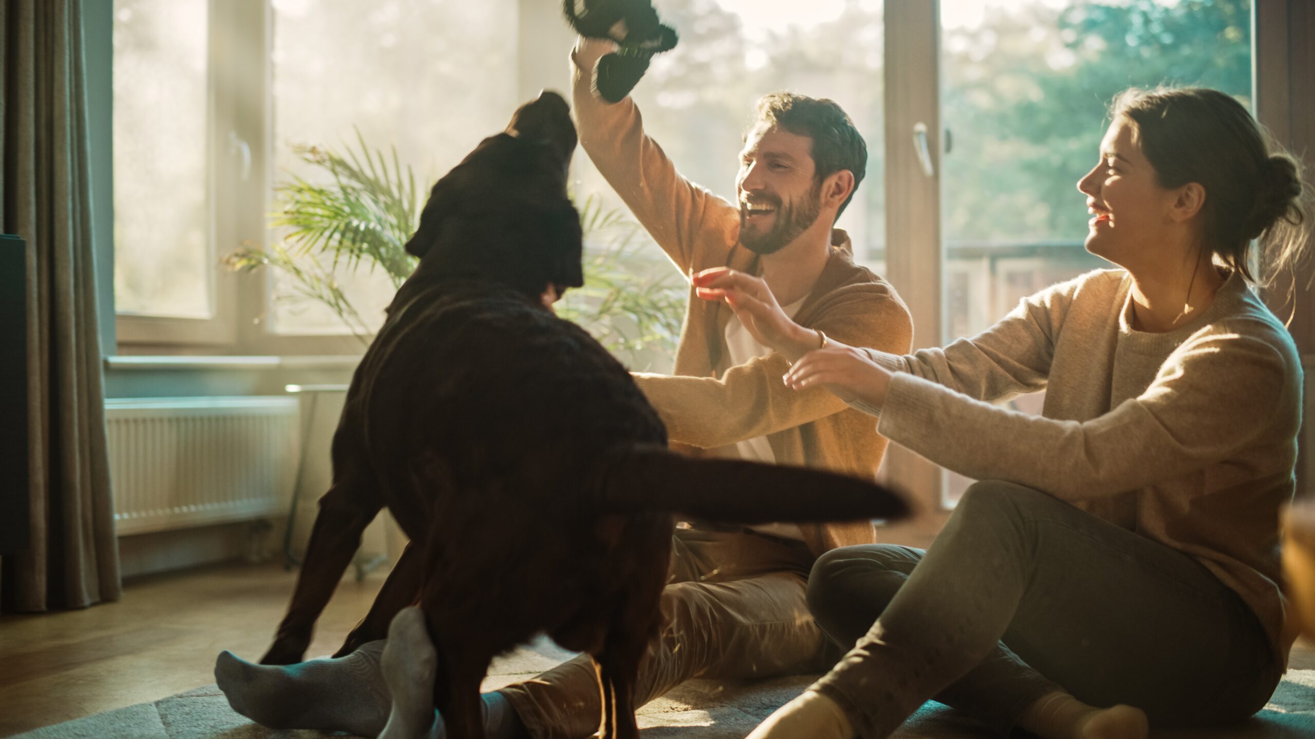 young man and woman play with their black dog in a sunny living room