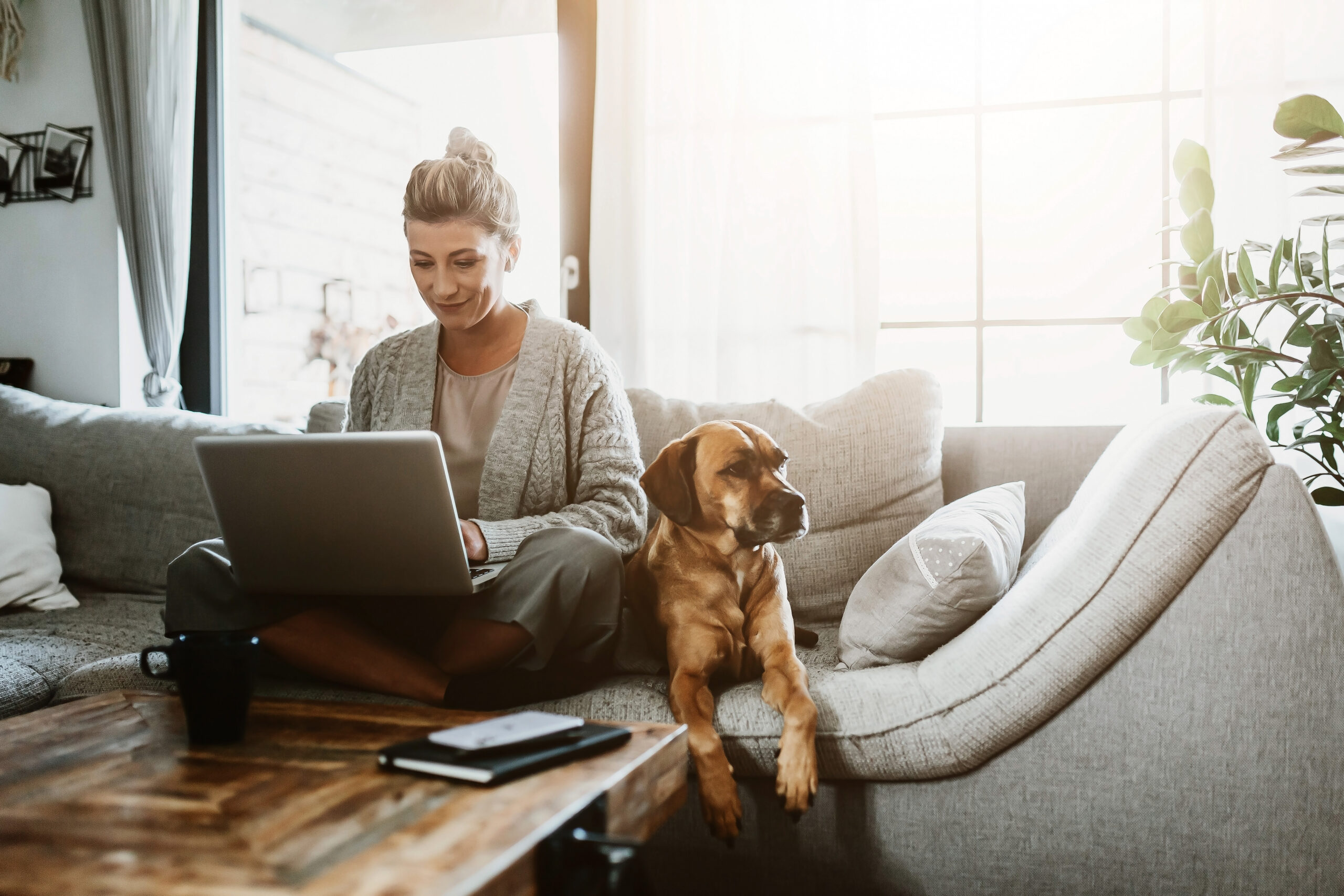 woman using laptop while sitting on the couch with her dog